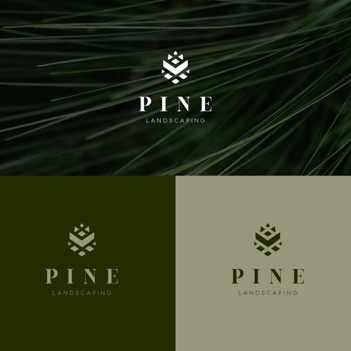 pine logo