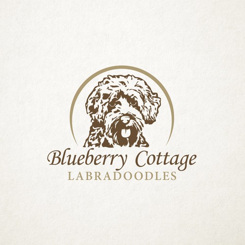 Blueberry Cottage Labradoodles