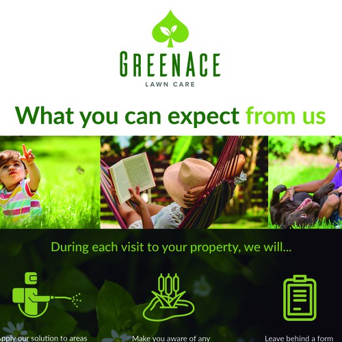Flyer (back) - GreenAce Lawn Care Campaign