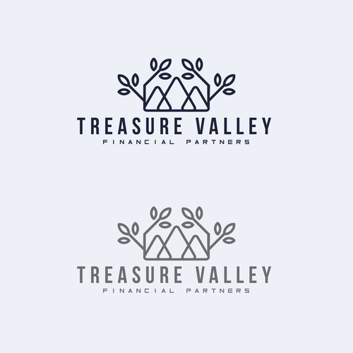 Treasure Valley Financial Partners