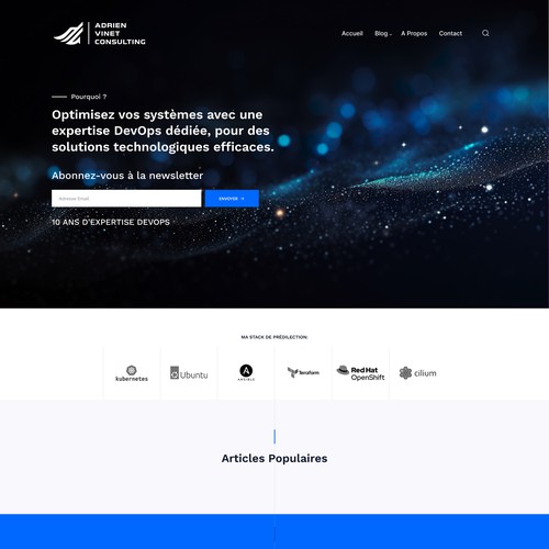 Website Design