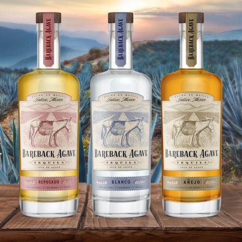 Tequila label design and hand drawn illustration for Bareback Agave brand