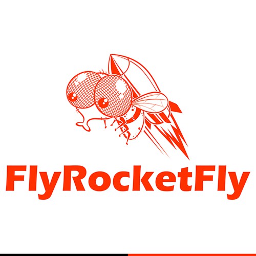Fly rocket fly
