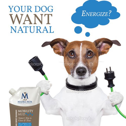 Calling the most creative people for a challenge! Sell mud to clean dogs!