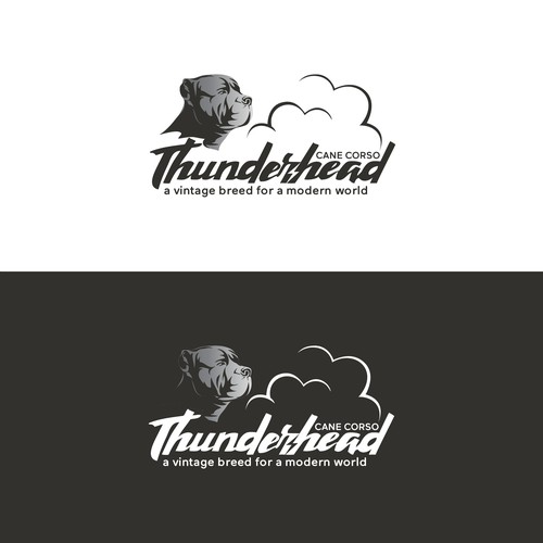 thunderhead