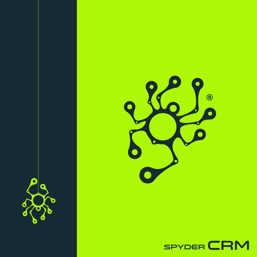 Spyder
