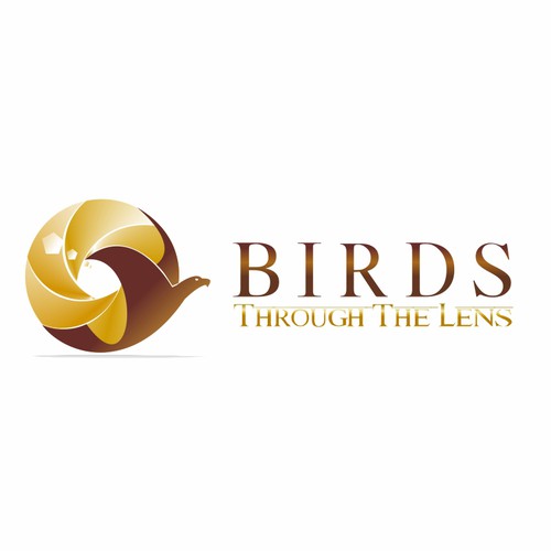 logo for Birds Through The Lens