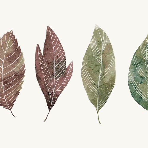 Leaves Illustration