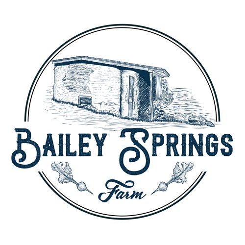 Vintage Spring House Logo design for Bailey Springs