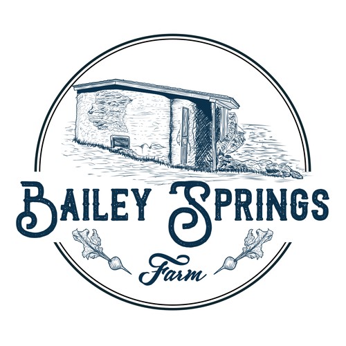 Vintage Spring House Logo design for Bailey Springs