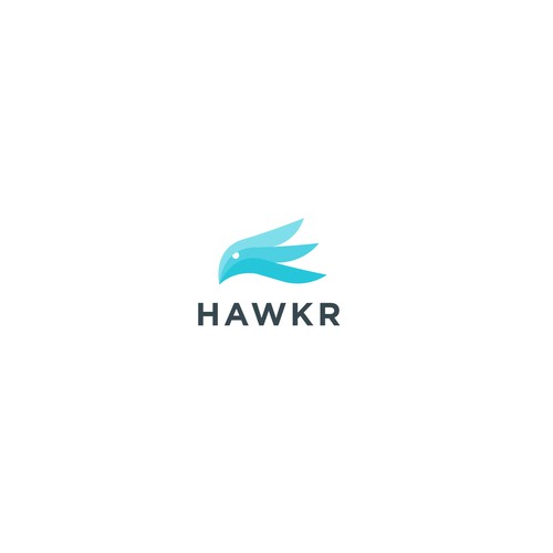 an epic brand for disruptive start-up Hawkr