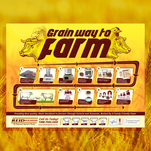 Grain Flow Infographic