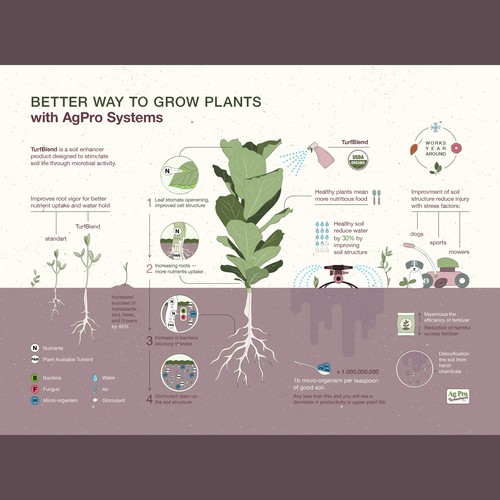 Agricultural infographic