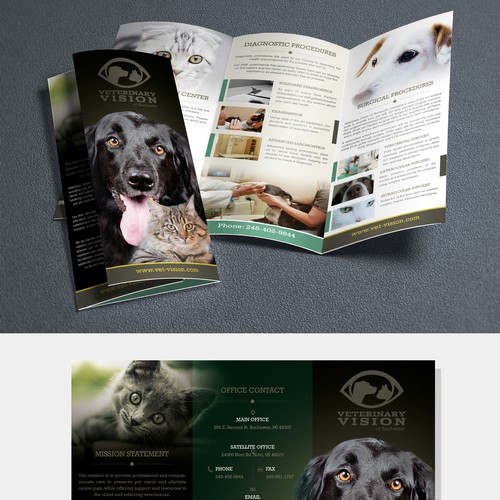 Brochure to help Veterinary Vision help save pet vision