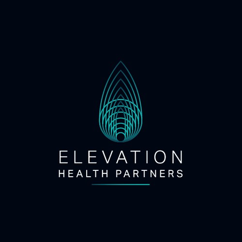Sophisticated and geometric logo for a healthcare consulting firm.