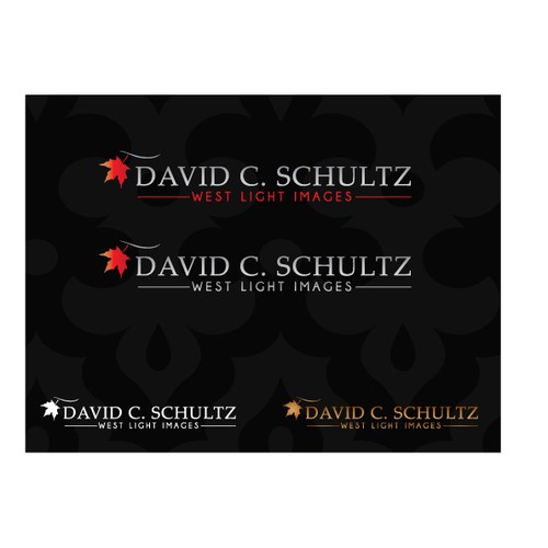 David C. Schultz