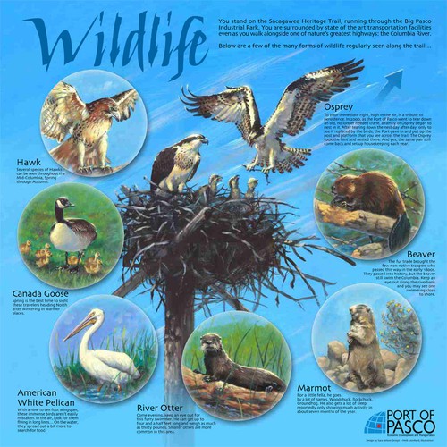 Wildlife kiosk
