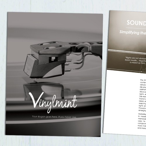 Professional Brochure for Vinylmint