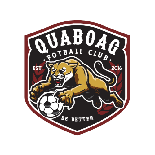 logo for soccer team