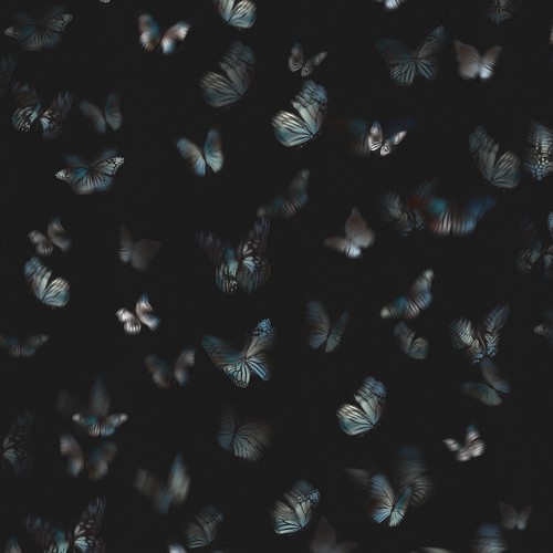 Sleek and modern black butterfly pattern