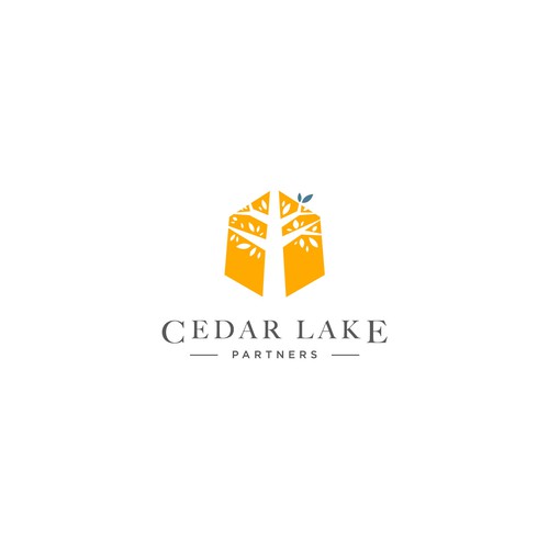 Create a remarkable logo for an entrepreneur's holding company - part 2.