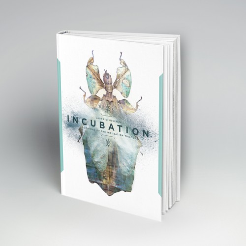 First Sketch for Incubation Book Series