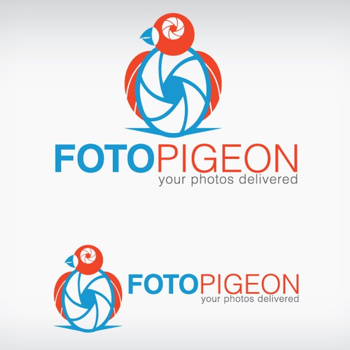 Foto Pigeon