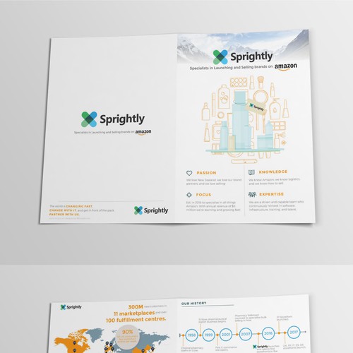 Striking Brochure For Sprightly's Group