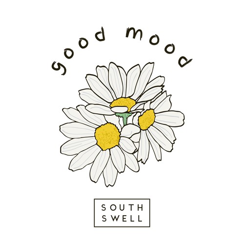  🌼 🌼 🌼