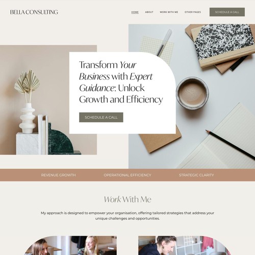 Website for Consultant