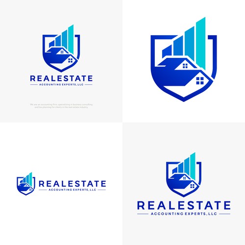 Real Estate Accounting  Expert
