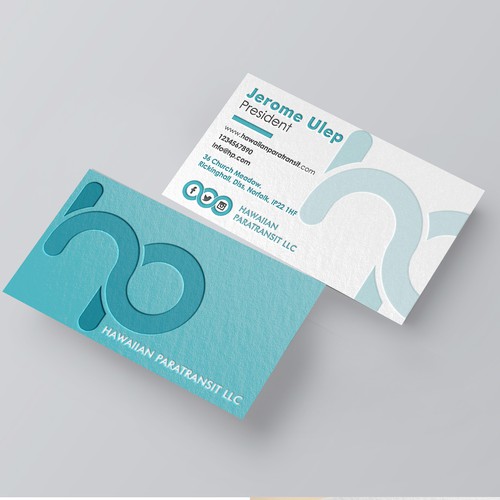 bold proposal logo concept for hawaiian paratransit