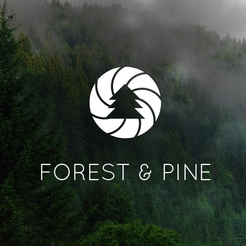 Forest  & pine