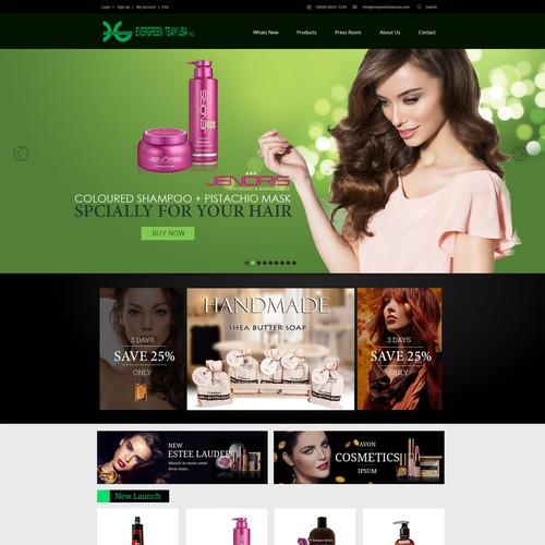 website design fro Evergreen Team USA