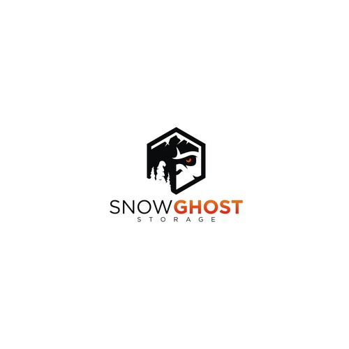 Logo Concept for SnowGhost Storage