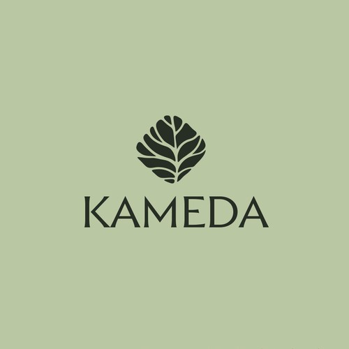 Logo design for Kameda