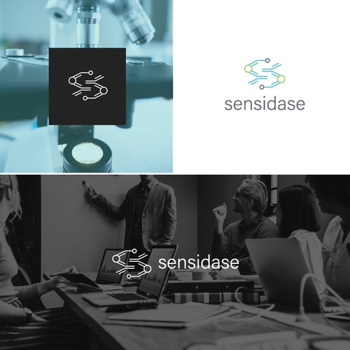 Sensidase