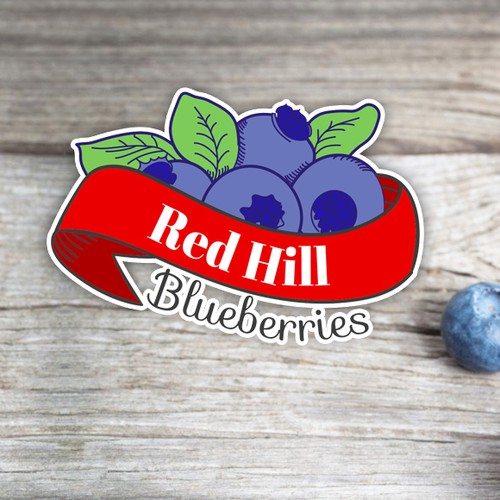 Blueberries Logo - Color variation