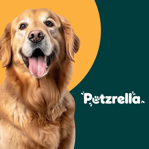 Pet Care Logo Branding
