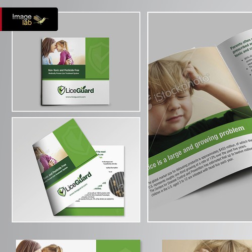 brochure design for LiceGuard LLC