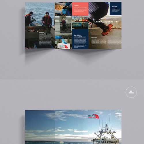 brochure
