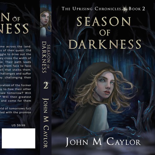 Book Cover fantasy 