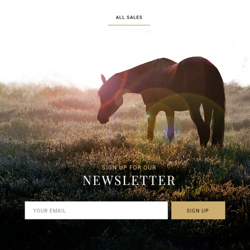 Web design for a horse breeding farm