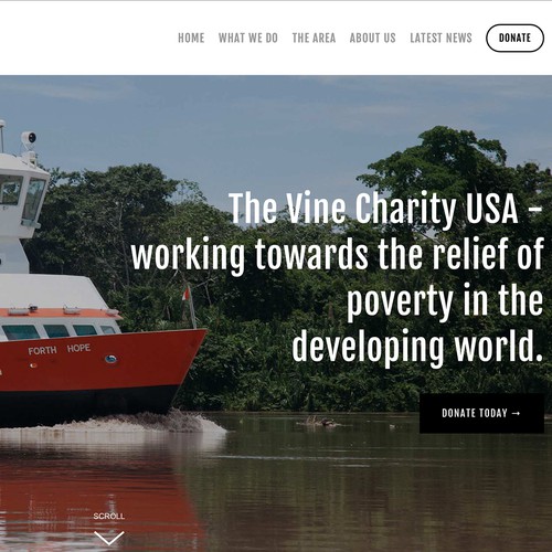 Website design for US based charity