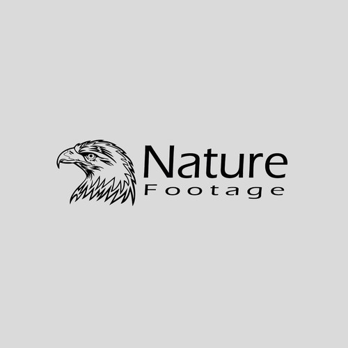 NatureFootage Logo Representing Water, Land and Sky.