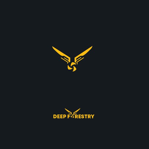 Logo concept for drone company