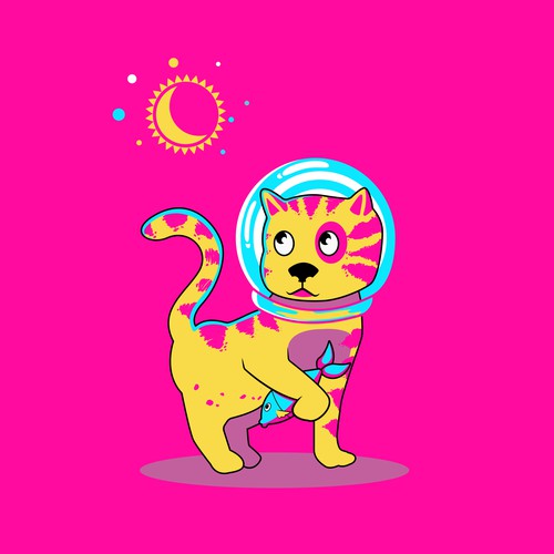  NFT collection cat