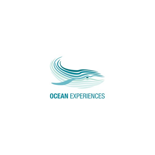 OCEAN EXPERIENCES