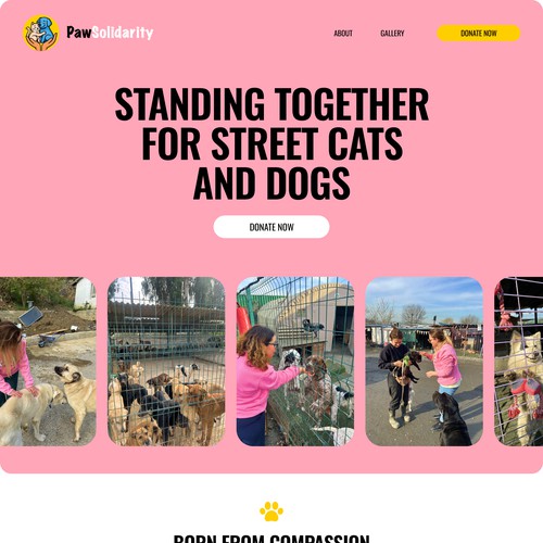 Website for animal charity organisation | Paw Solidarity