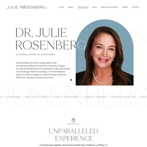 Julie Rosenberg Website Design